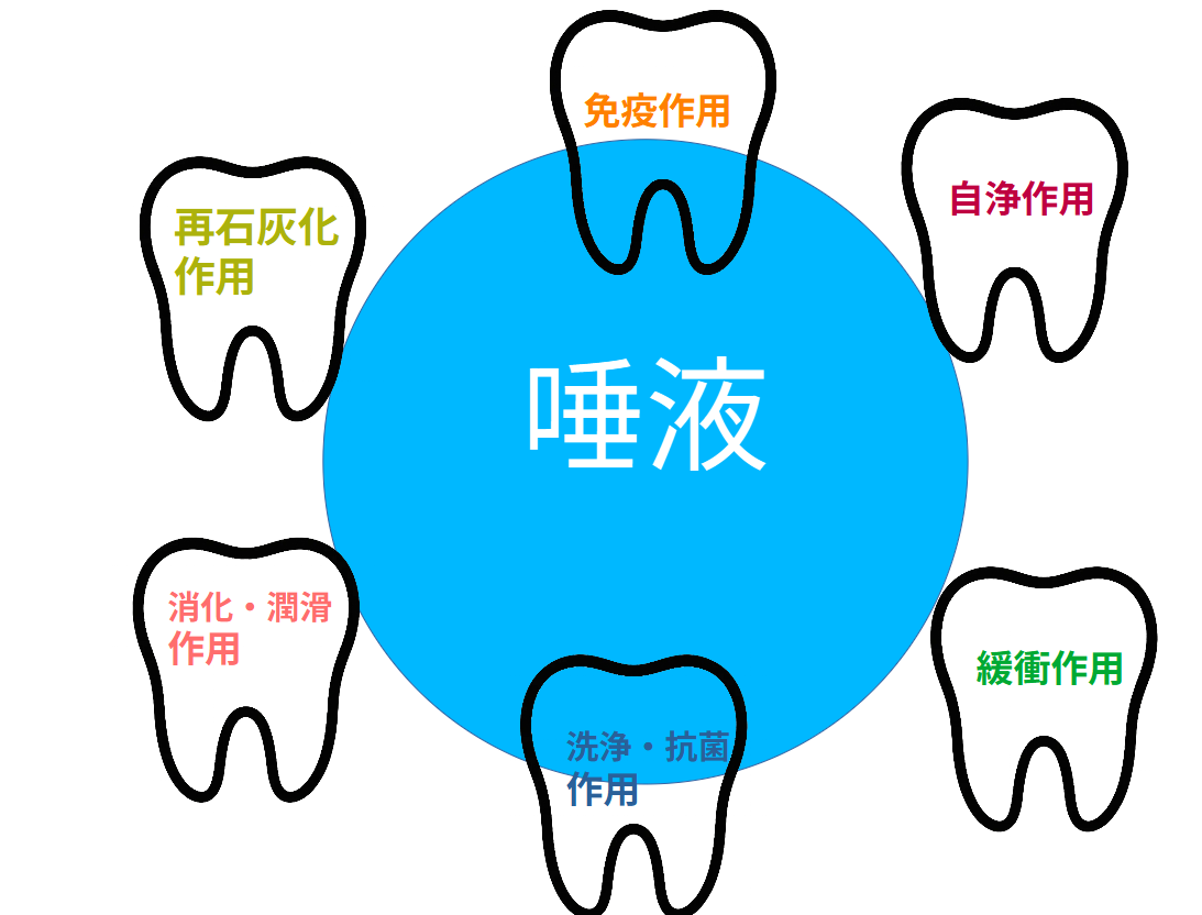 唾液の知られざる効果〜お口の健康を守る“天然の万能薬”〜