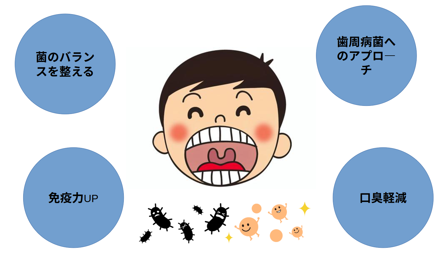 乳酸菌と口腔内の関係って？実はとても深いんです