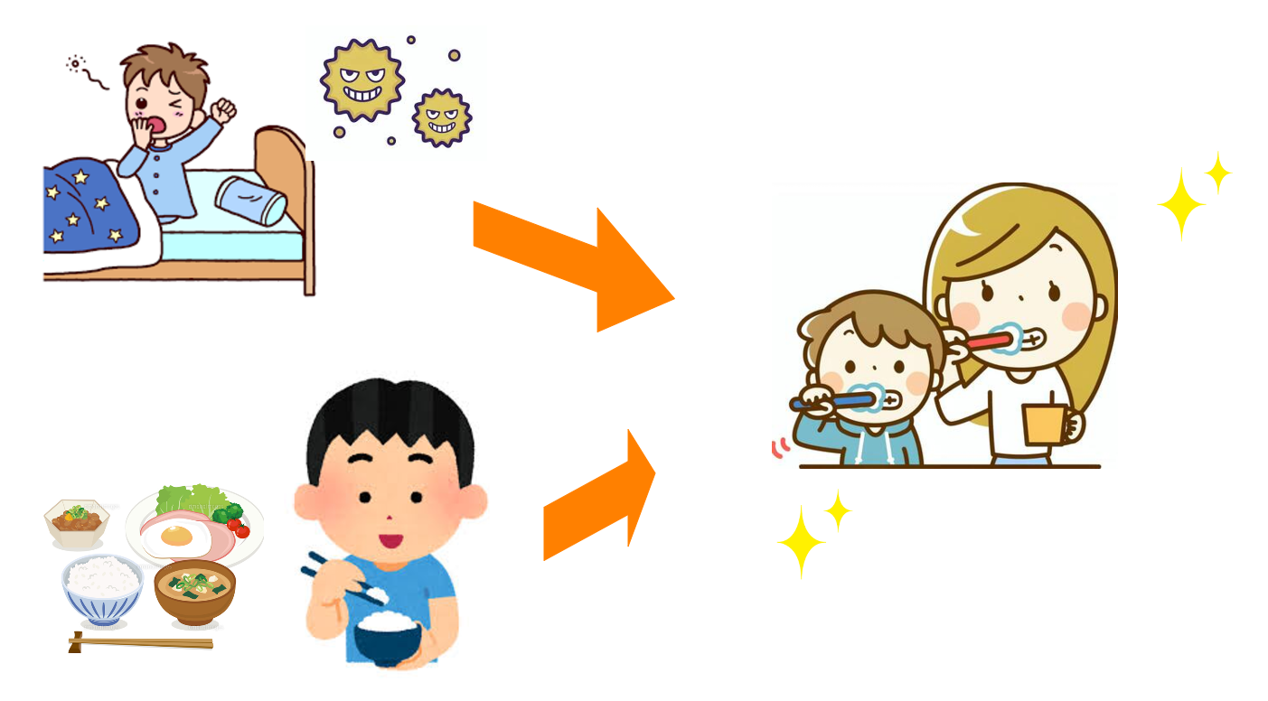 朝の歯みがき、いつするのが正解？